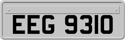 EEG9310