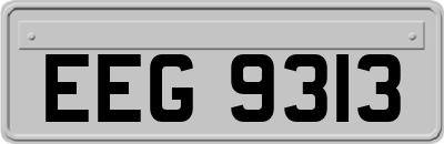 EEG9313