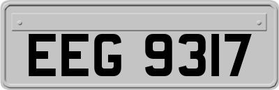 EEG9317