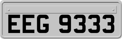EEG9333