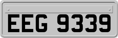 EEG9339