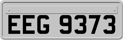 EEG9373