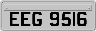 EEG9516