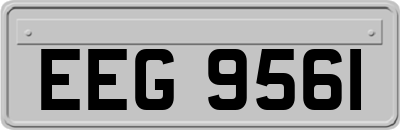 EEG9561