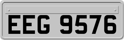 EEG9576