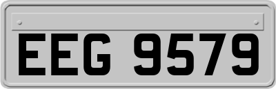 EEG9579