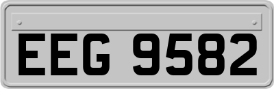 EEG9582