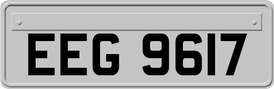 EEG9617