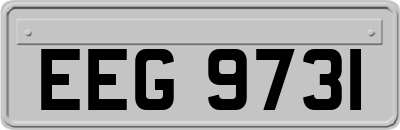 EEG9731