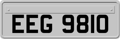 EEG9810