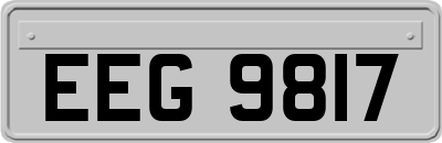 EEG9817