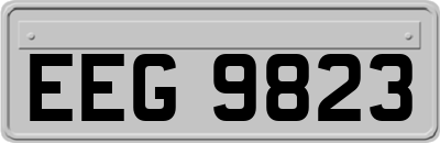 EEG9823