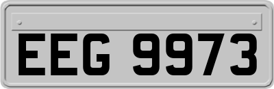 EEG9973
