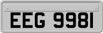 EEG9981