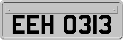 EEH0313