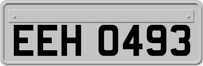 EEH0493