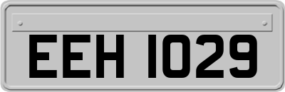 EEH1029