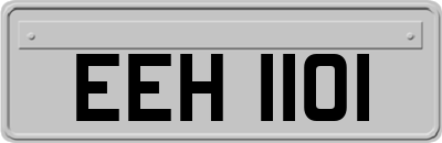 EEH1101