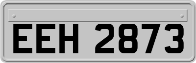 EEH2873