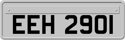 EEH2901