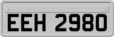 EEH2980