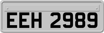 EEH2989