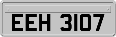 EEH3107