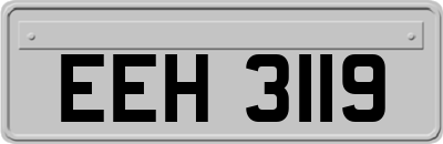 EEH3119