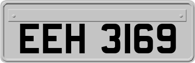 EEH3169