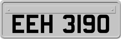 EEH3190