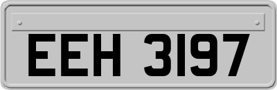 EEH3197