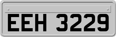 EEH3229