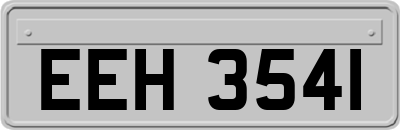 EEH3541