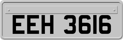 EEH3616