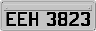 EEH3823