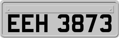 EEH3873