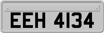 EEH4134