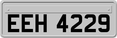 EEH4229