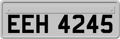 EEH4245