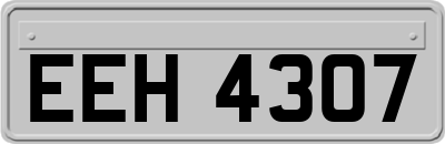 EEH4307