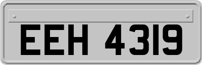 EEH4319