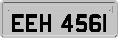EEH4561