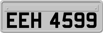 EEH4599