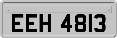 EEH4813