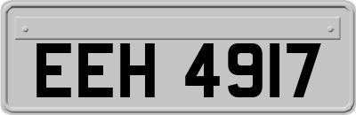 EEH4917