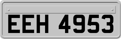 EEH4953