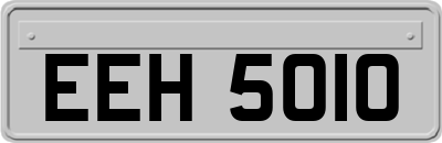 EEH5010
