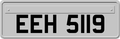 EEH5119