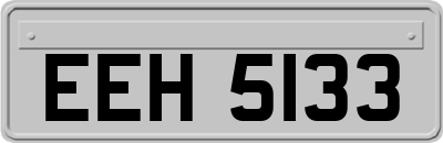 EEH5133