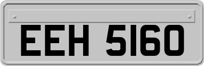 EEH5160